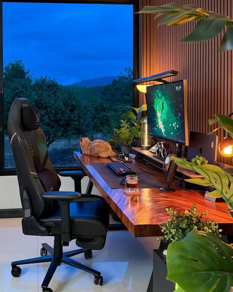 Plant-Filled Cat-Friendly Home Workspace