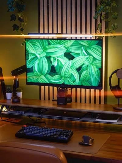 Warm Botanical BenQ Desktop Setup